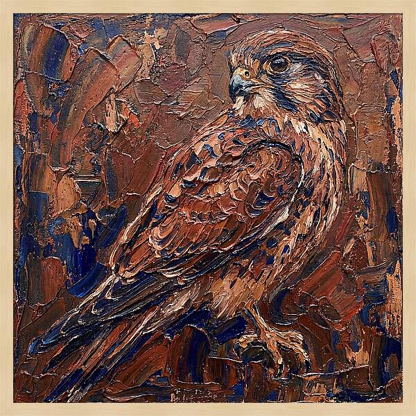 Kestrel In Rich Textures