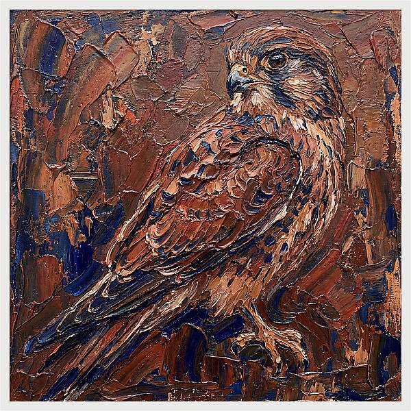 Kestrel In Rich Textures
