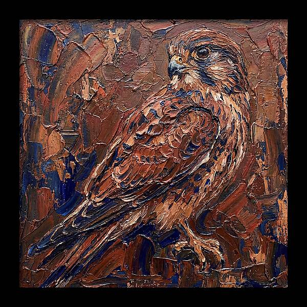 Kestrel In Rich Textures