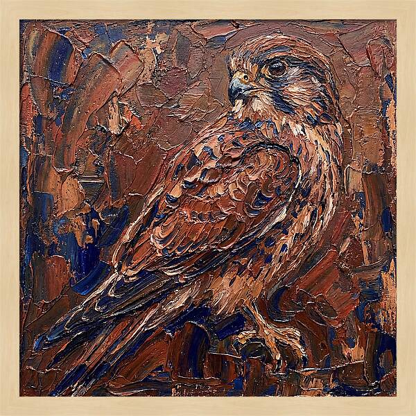 Kestrel In Rich Textures