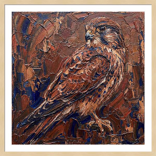 Kestrel In Rich Textures