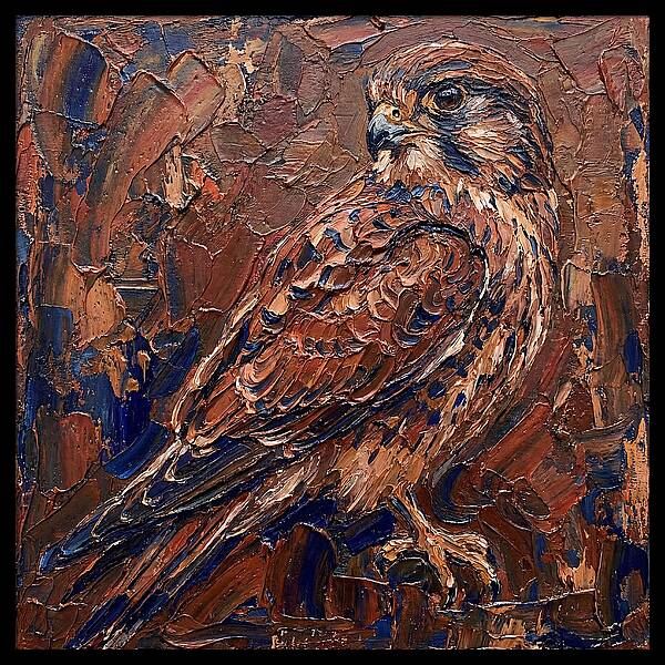 Kestrel In Rich Textures