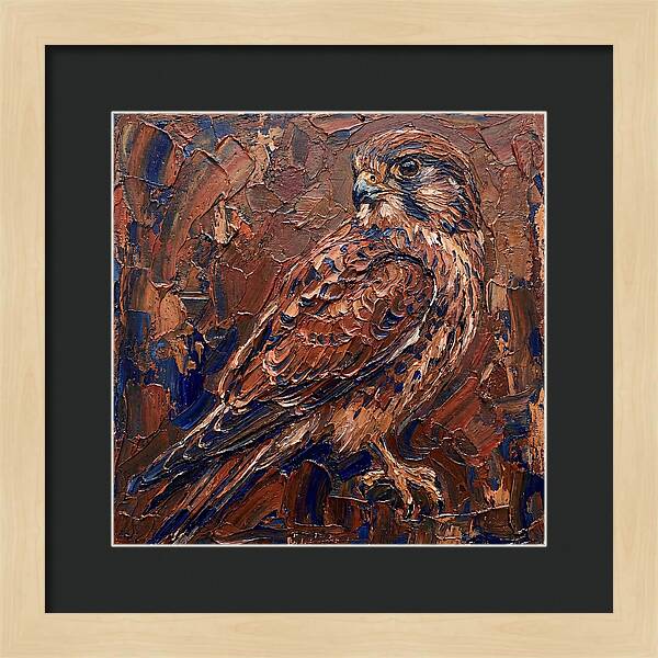 Kestrel In Rich Textures