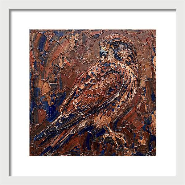 Kestrel In Rich Textures