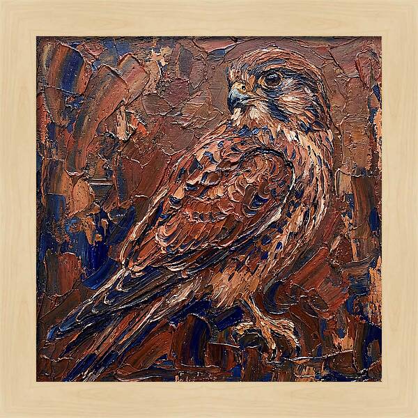 Kestrel In Rich Textures