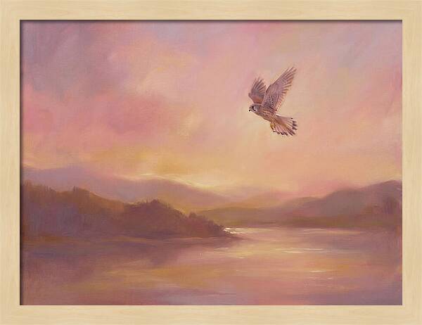 Kestrel In Skies