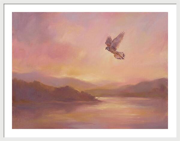 Kestrel In Skies