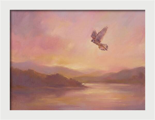 Kestrel In Skies