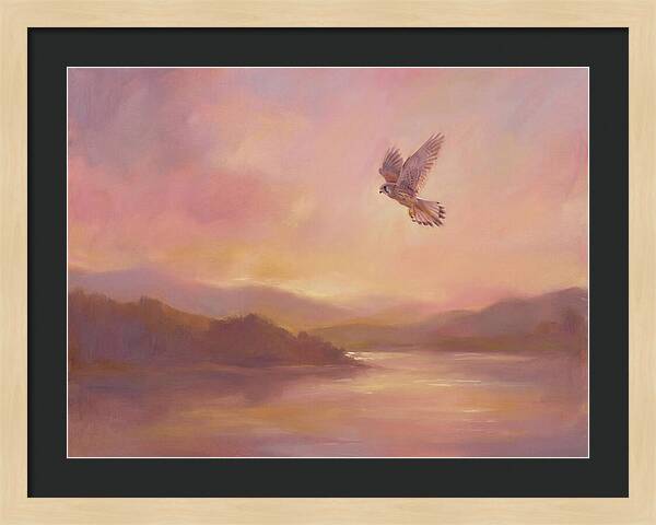 Kestrel In Skies