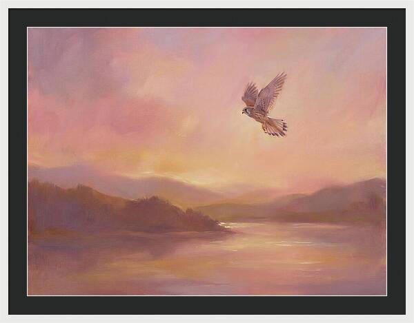 Kestrel In Skies