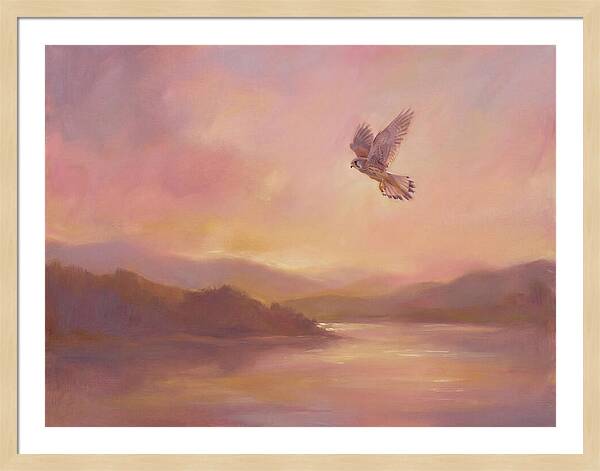 Kestrel In Skies