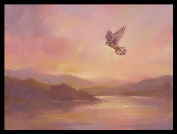 Kestrel In Skies