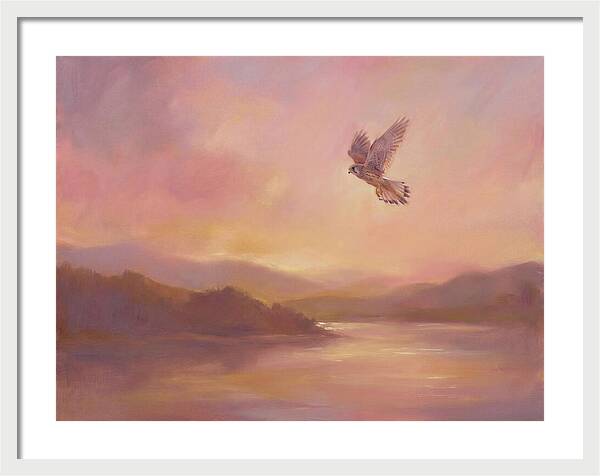 Kestrel In Skies