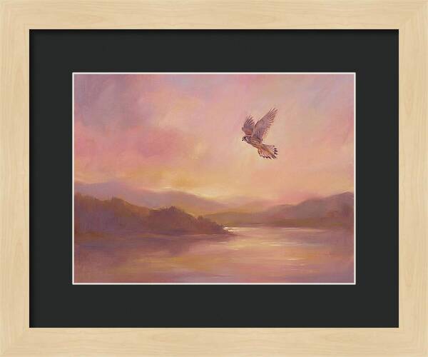 Kestrel In Skies