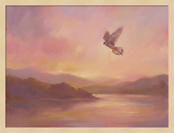 Kestrel In Skies