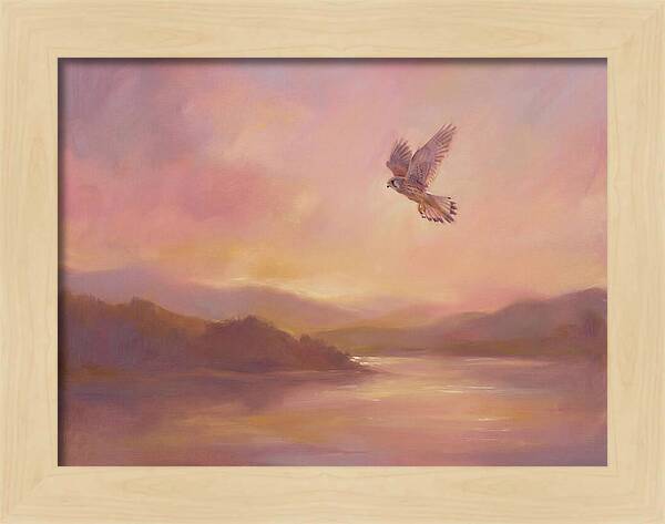 Kestrel In Skies