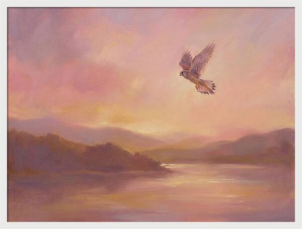 Kestrel In Skies