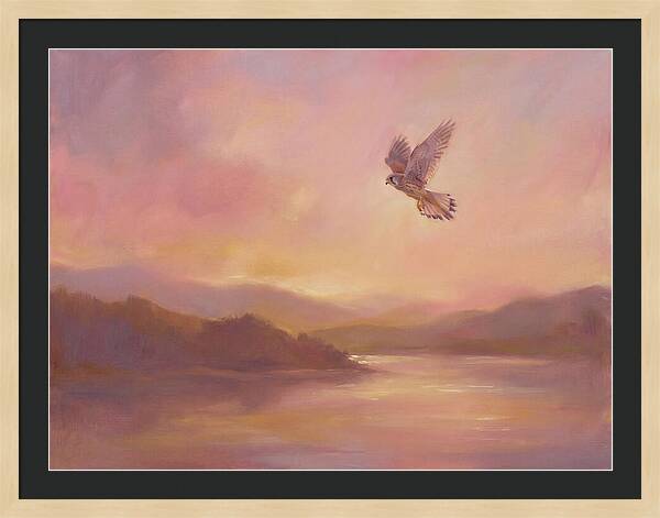 Kestrel In Skies