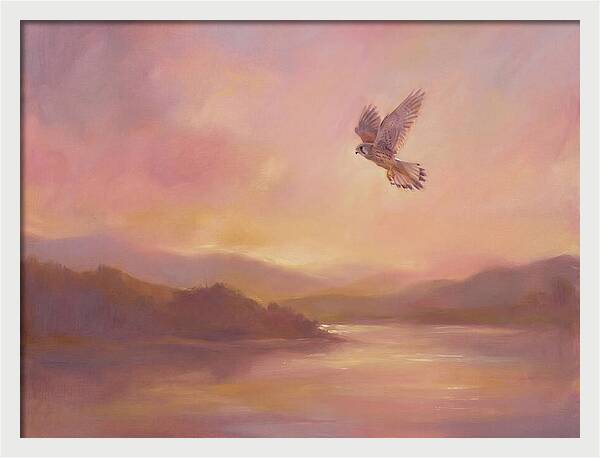 Kestrel In Skies