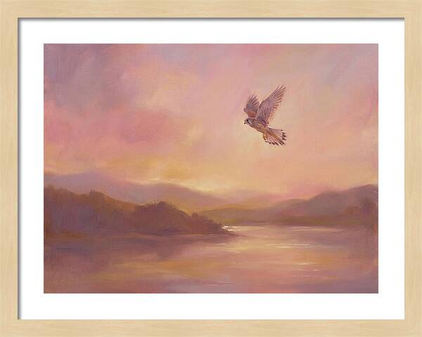 Kestrel In Skies