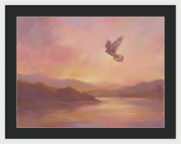 Kestrel In Skies