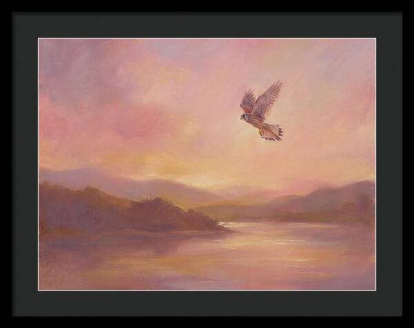 Kestrel In Skies