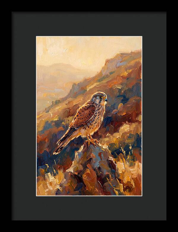 Kestrel In The Mediterranean Light