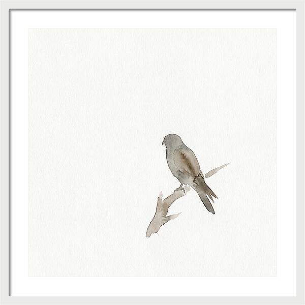 Kestrel Perched In Minimalist Style
