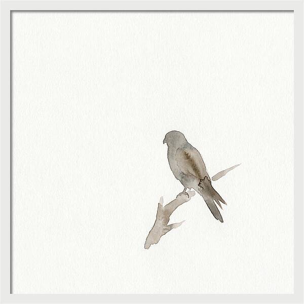Kestrel Perched In Minimalist Style