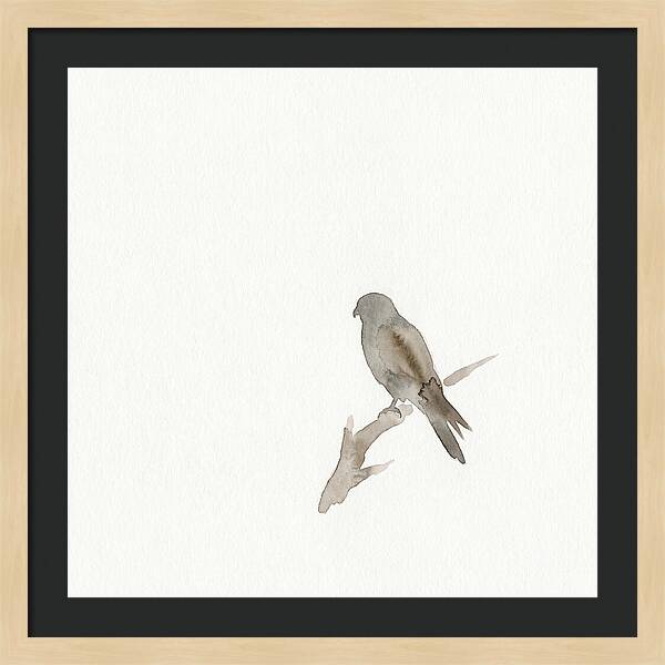 Kestrel Perched In Minimalist Style