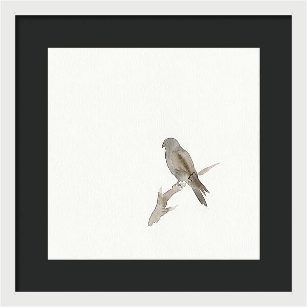 Kestrel Perched In Minimalist Style