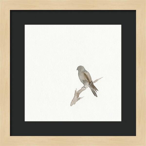 Kestrel Perched In Minimalist Style