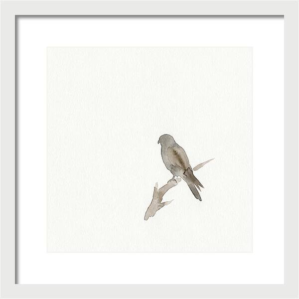 Kestrel Perched In Minimalist Style