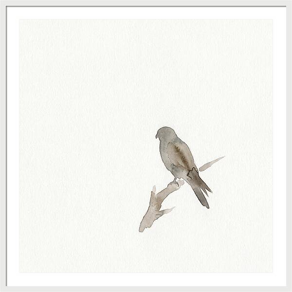 Kestrel Perched In Minimalist Style