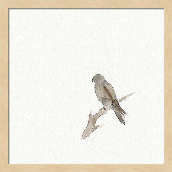 Kestrel Perched In Minimalist Style