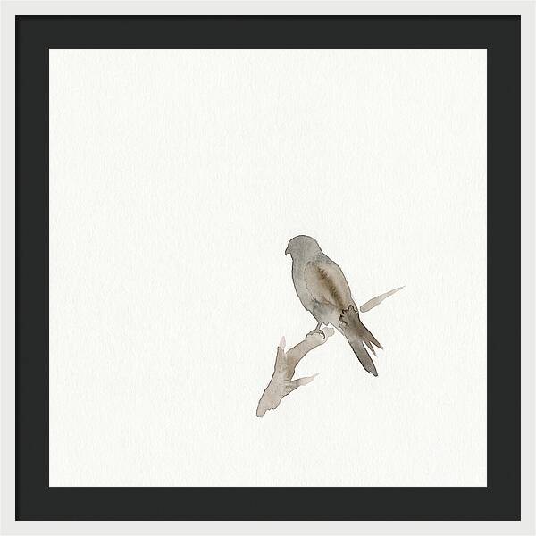 Kestrel Perched In Minimalist Style