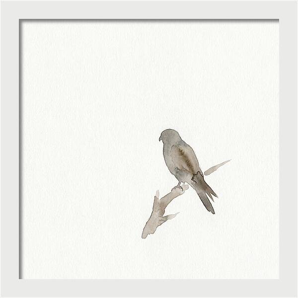 Kestrel Perched In Minimalist Style
