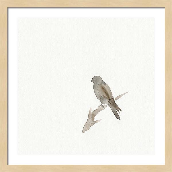 Kestrel Perched In Minimalist Style