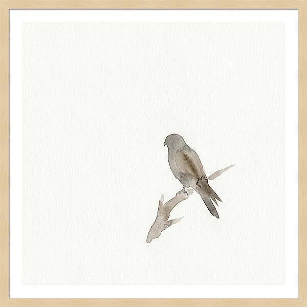 Kestrel Perched In Minimalist Style