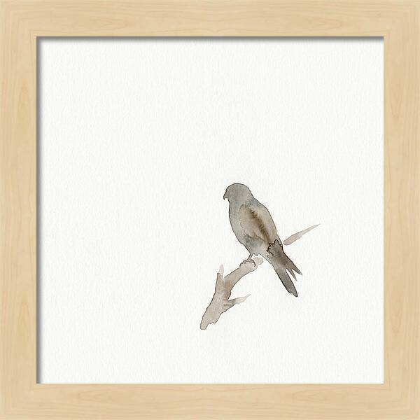 Kestrel Perched In Minimalist Style