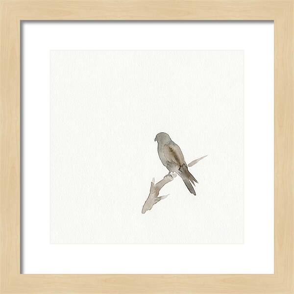 Kestrel Perched In Minimalist Style