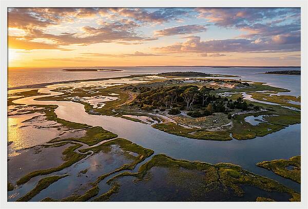 Kiawah Island Serenity