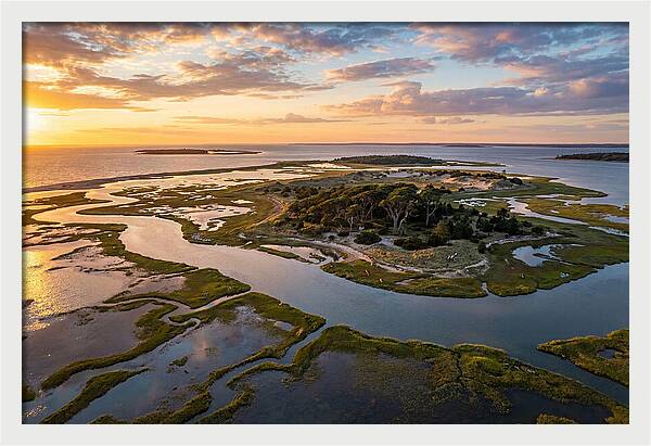 Kiawah Island Serenity