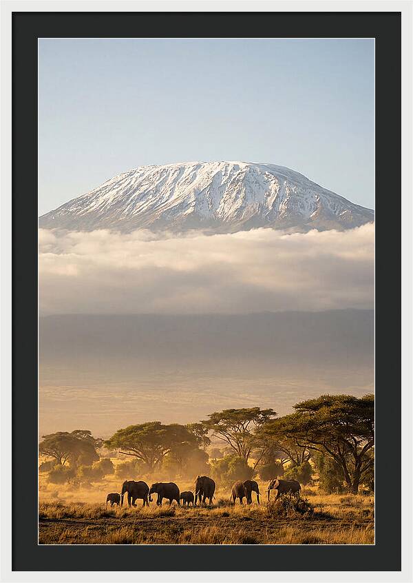 Kilimanjaro Above Amboseli Savanna