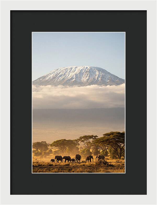 Kilimanjaro Above Amboseli Savanna