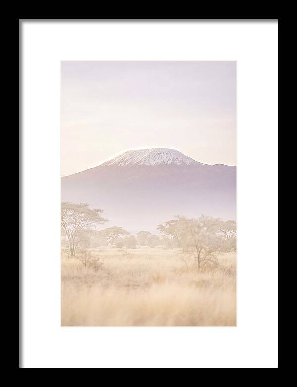 Kilimanjaro Above The Amboseli Savanna