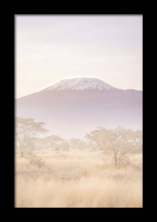 Kilimanjaro Above The Amboseli Savanna
