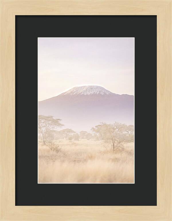 Kilimanjaro Above The Amboseli Savanna