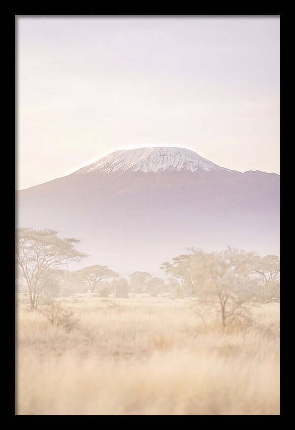 Kilimanjaro Above The Amboseli Savanna