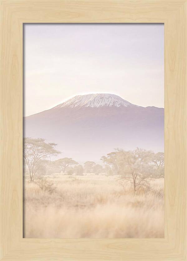 Kilimanjaro Above The Amboseli Savanna